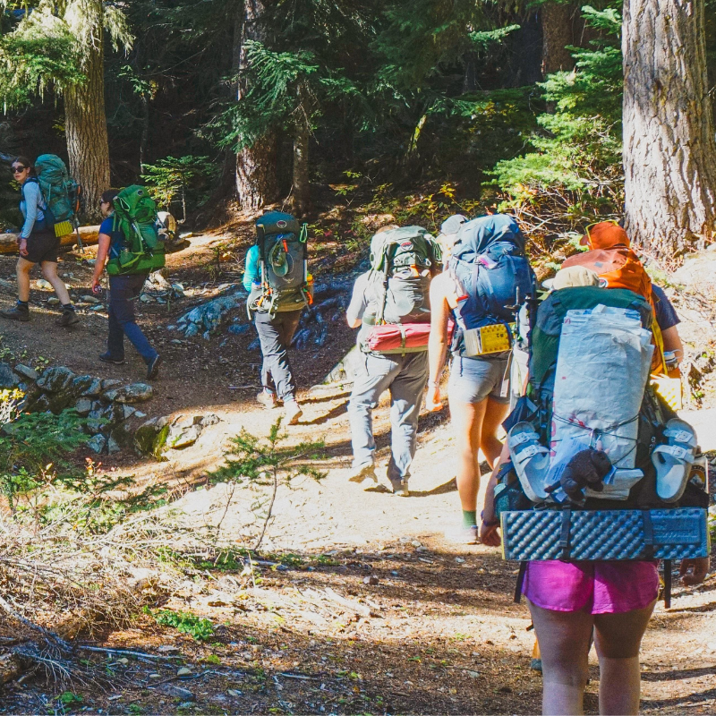 OC Excursions Website (2)