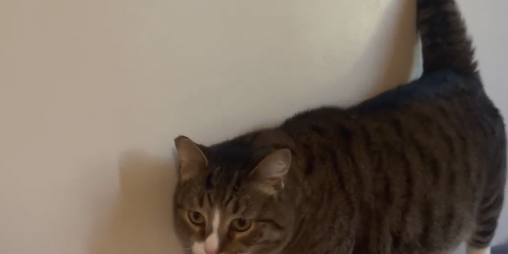 Screen Shot 2026-03-09 at 9.04.29 PM