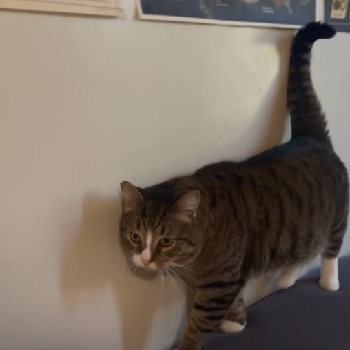 Dorm Tour: Buchanan Towers