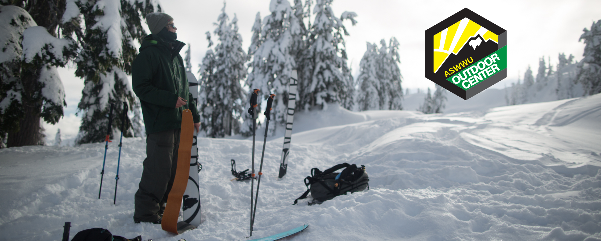 Skier with snowy trees