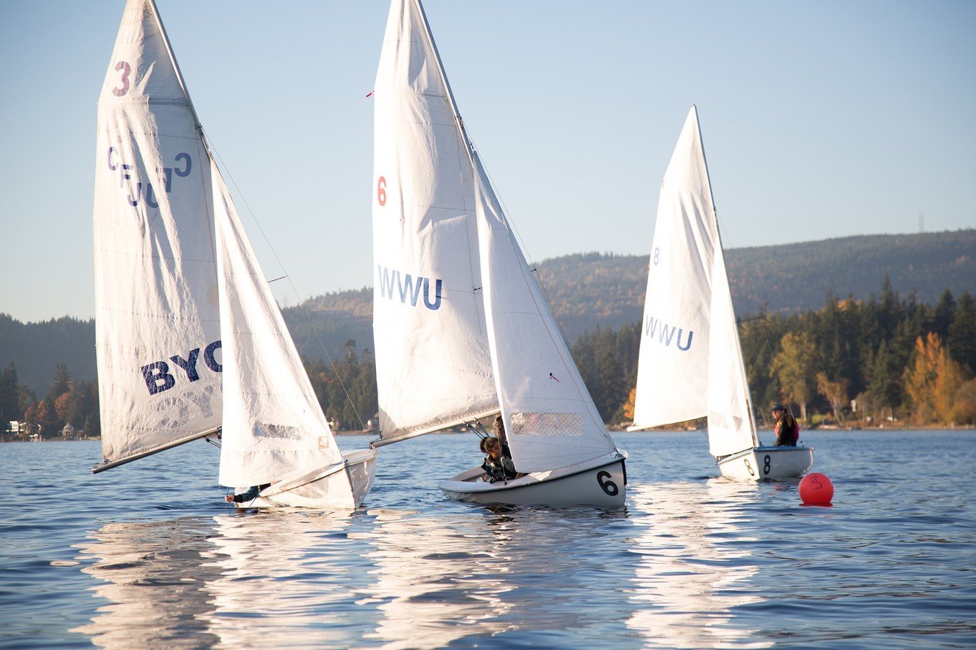 Three sailboats on Lake Whatcom