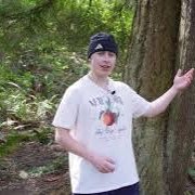 Forest Bathing and how to do it