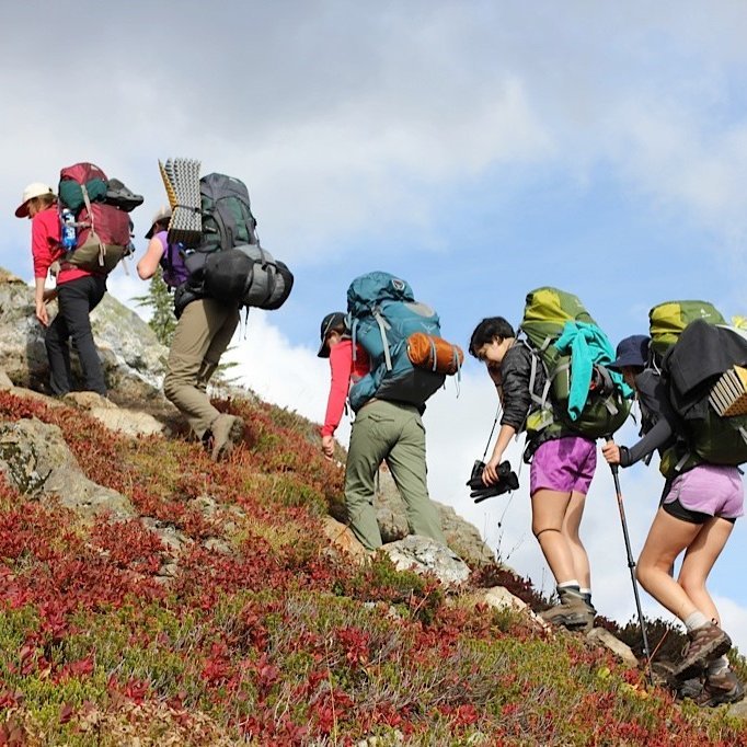 Backpacking in an alpine field