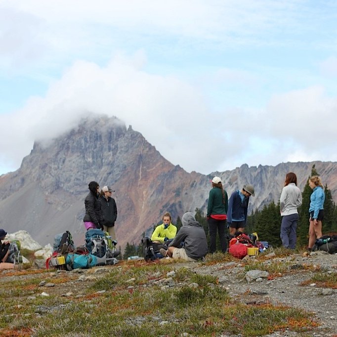 Hike atop an alpine forest