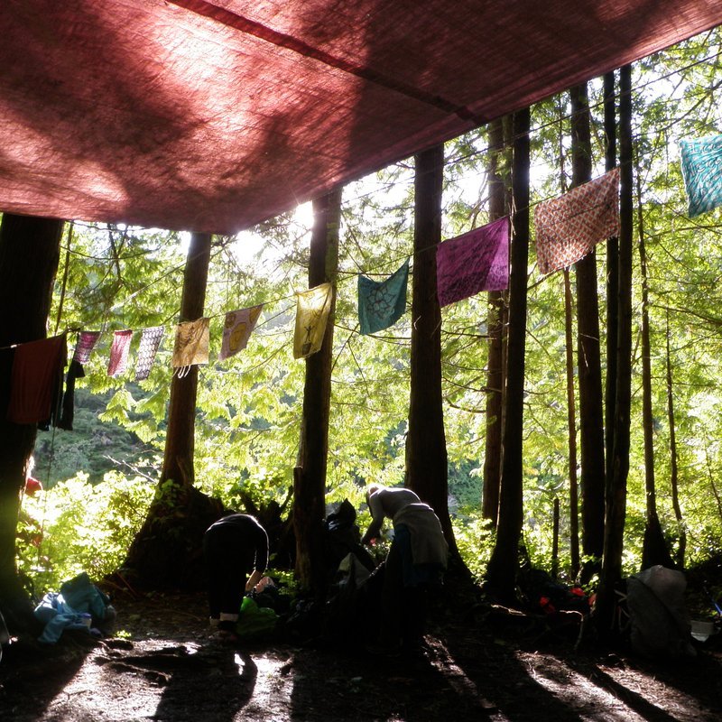 Sanctuary in the forest with WOOT