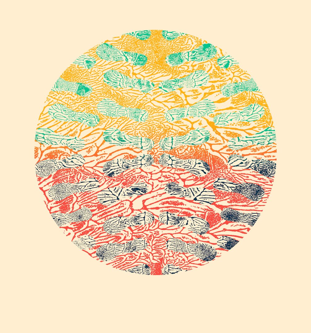 circular screen print with organic shapes and shades of yellow and teal above with orange and blue below against a pale yellow background