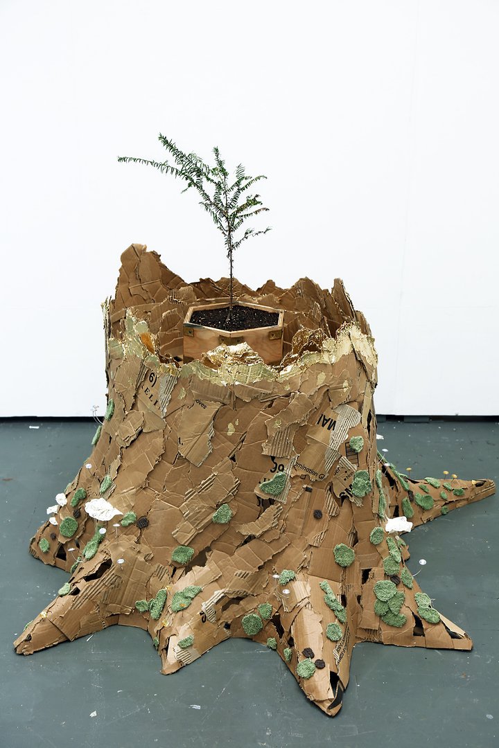 Alternate view of cardboard stump sculpture with live tree inside.jpg