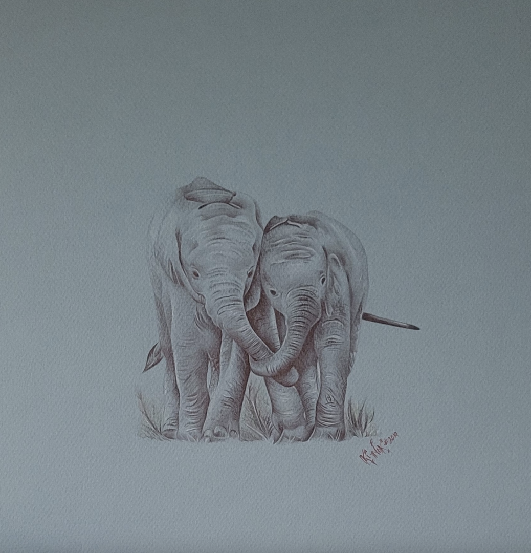 Pen drawing of two baby elephants walking with their trunks entwined