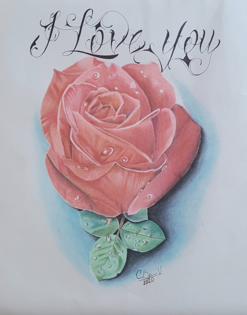 Color pencil rose with the script "I Love You" above