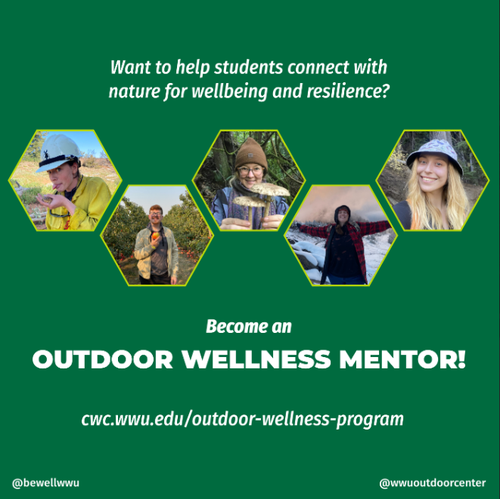 Outdoor Wellness Program Photo