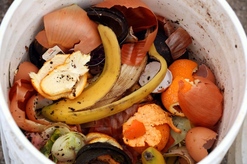 Bucket of food waste