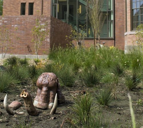 photo of a sculptural woolly mammoth head protruding from the soil of a campus landscaping area