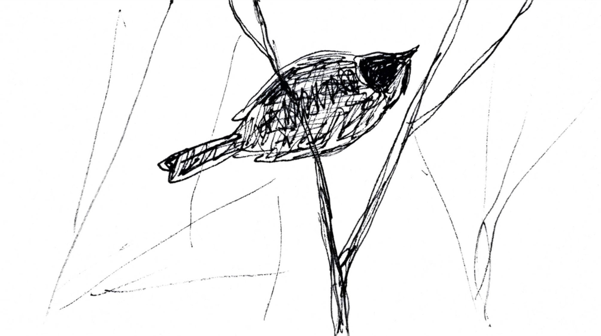 Bird on branch from below in black on white systems3.jpg