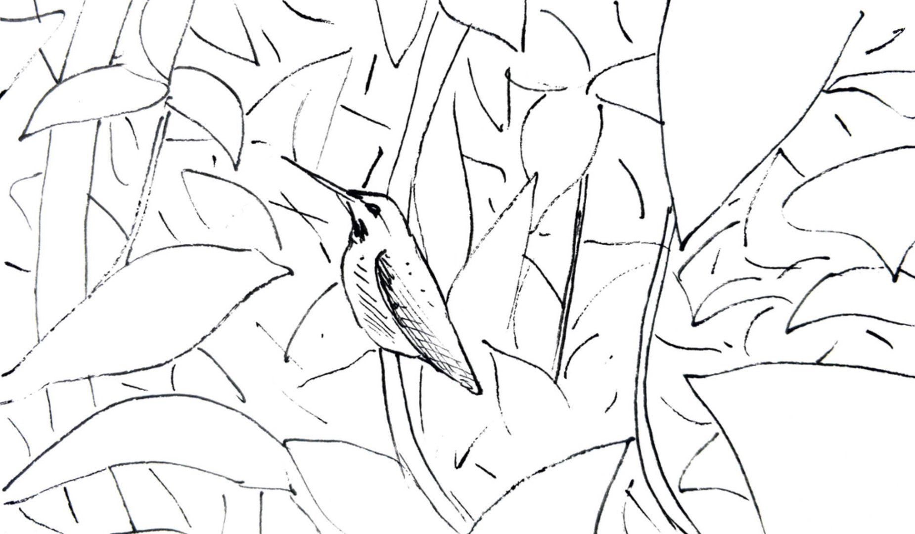 Bird standing surrounded by leaves in black on white systems7.jpg