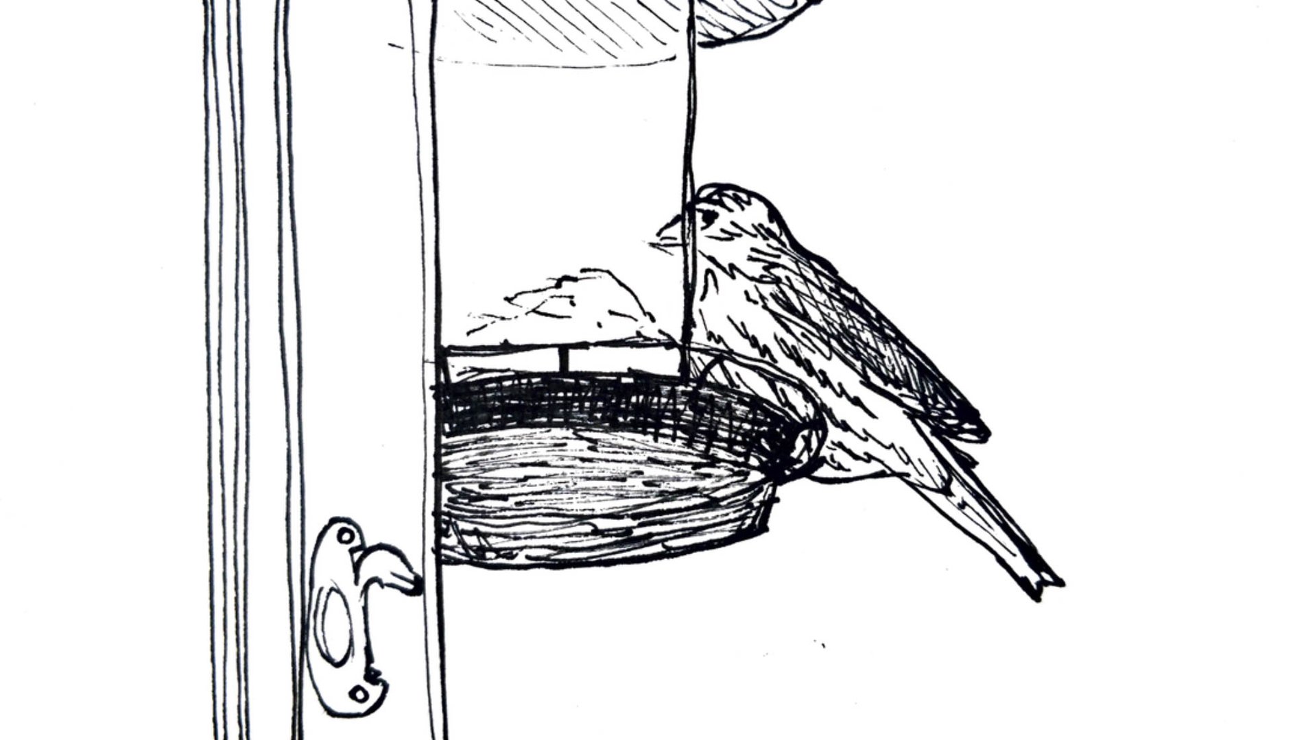 Bird on the edge of a bird feeder in black on white systems8.jpg