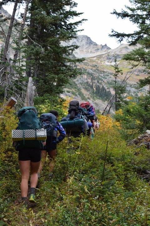 A line of WOOT participants (WOOTers) hike with backpacks through the low lying brush of the baker wilderness. ahead lies a mountain pass.